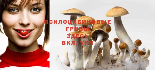 не бодяженный Новочеркасск