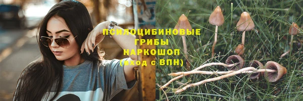 MDMA Premium VHQ Дмитриев