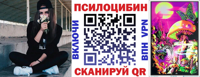 Купить  Нолинск  Галлюциногенные грибы мицелий 