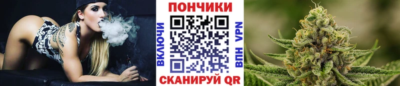 Купить закладки  Нолинск  Бошки марихуана конопля 